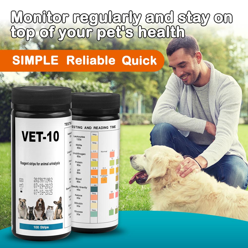 Urinalysis Reagent Strip - 10-Parameter Cat & Dog Urine Test