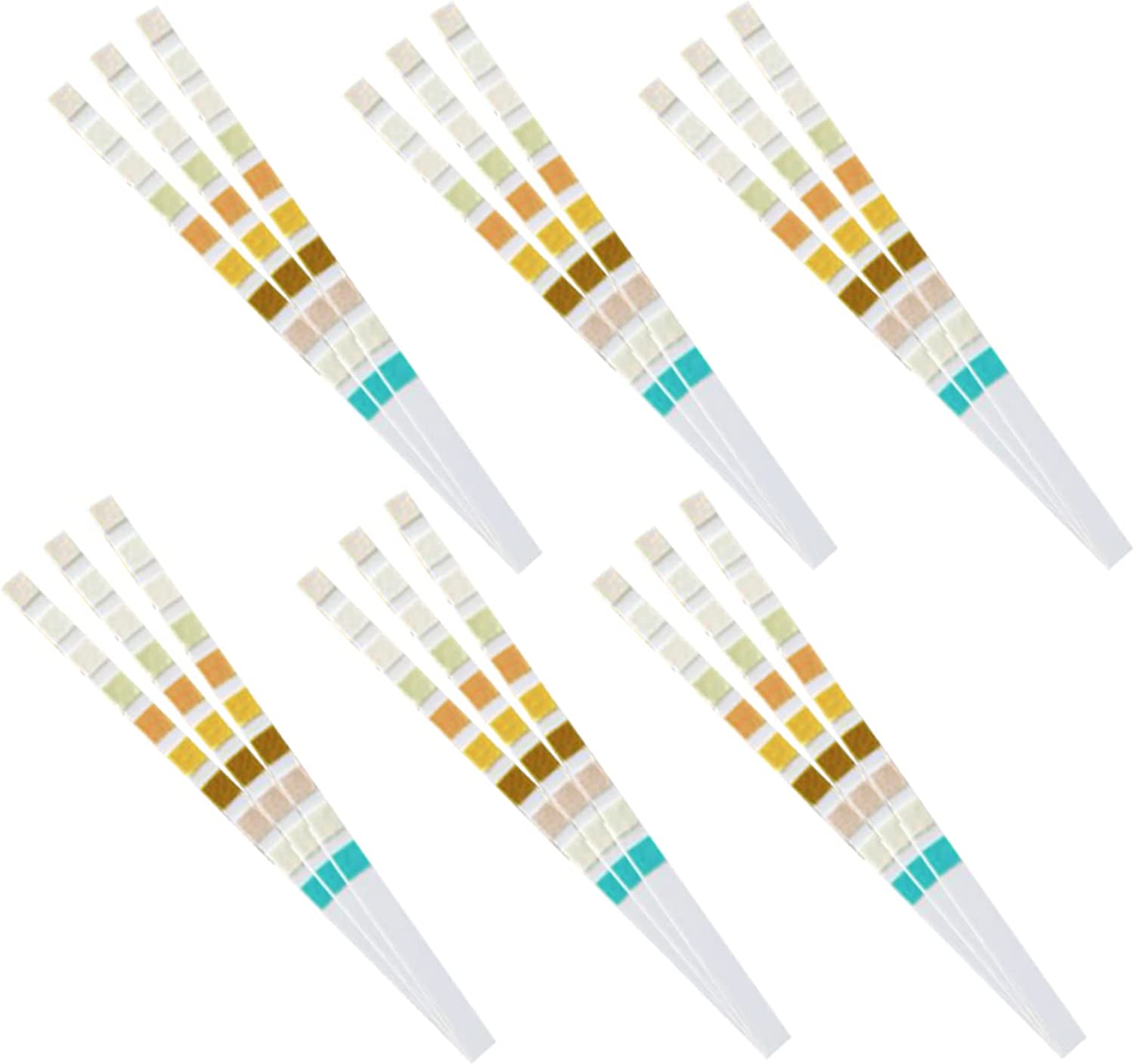 URS-10T Urine Test Strips 10 P - Urinalysis Reagent Strip review and price