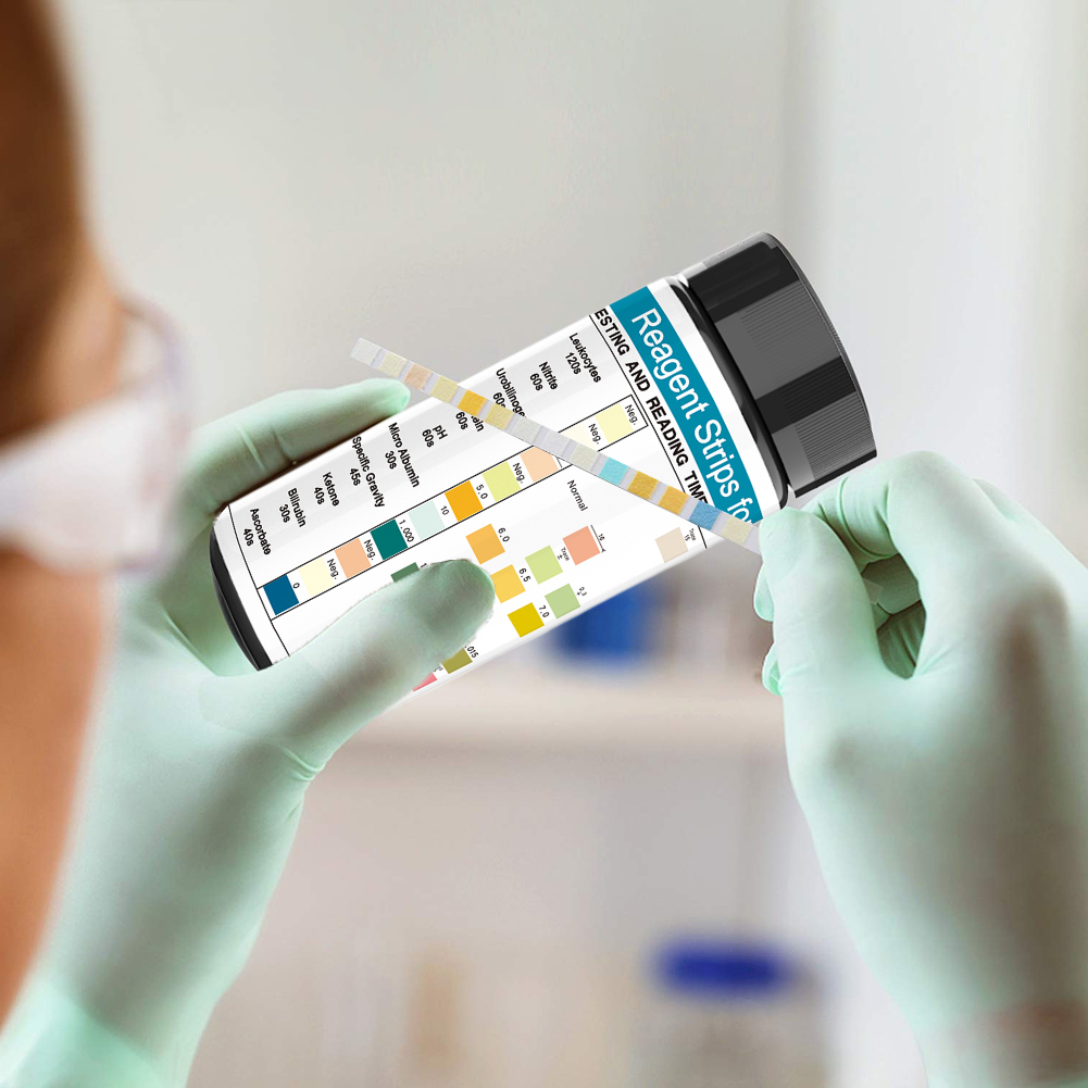 100 Strips Urine Test Strip 10 - Urinalysis Reagent Strip review and price